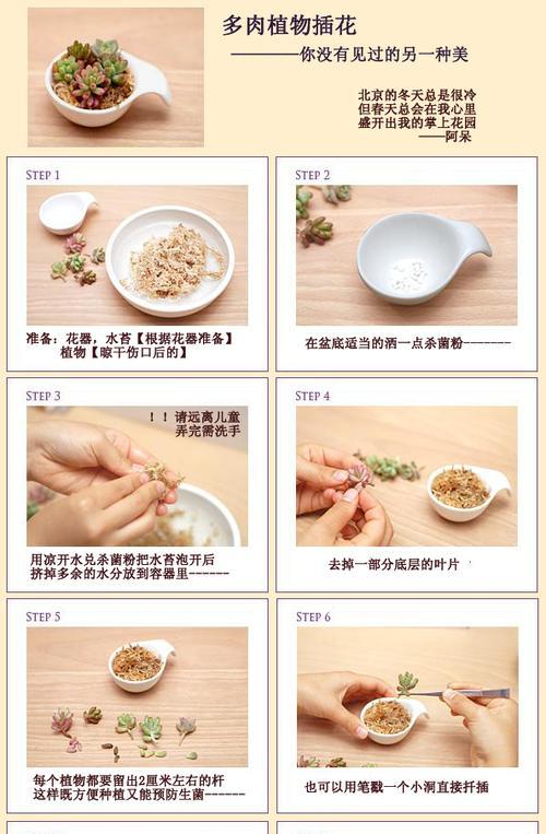 柔软蘑菇包的做法（健康美味，简单易学）-第1张图片-美味行家