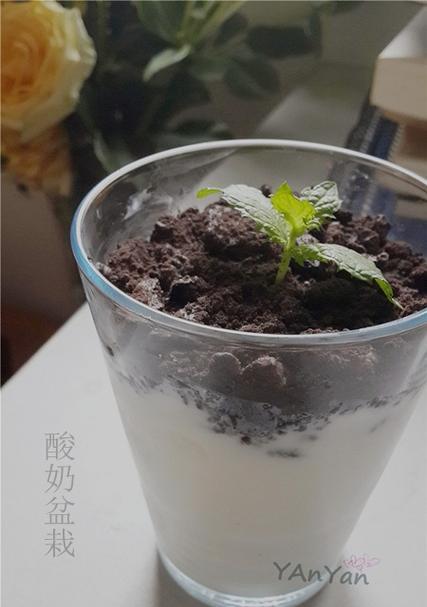 用酸奶盆栽打造绿色小世界（以酸奶盆为种植工具，创意盆栽让生活更美好）-第1张图片-美味行家