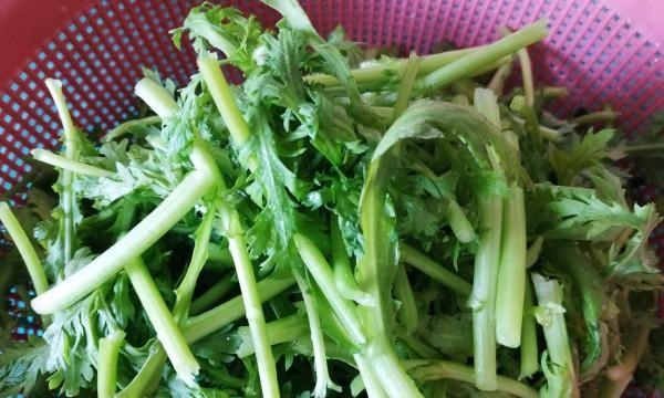 蒜蓉炒茼蒿的做法（一道清热解毒、美味营养的家常菜）-第2张图片-美味行家