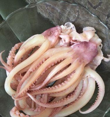 泰式鱿鱼须的美食烹饪之道（传统泰式口味，解锁鱿鱼须的多种做法）-第2张图片-美味行家