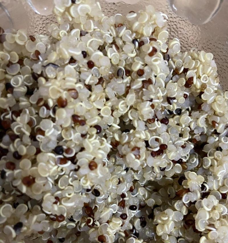 以营养藜麦饭为主食的健康生活（做法详解+营养价值解析，让你轻松享受健康美食）-第3张图片-美味行家
