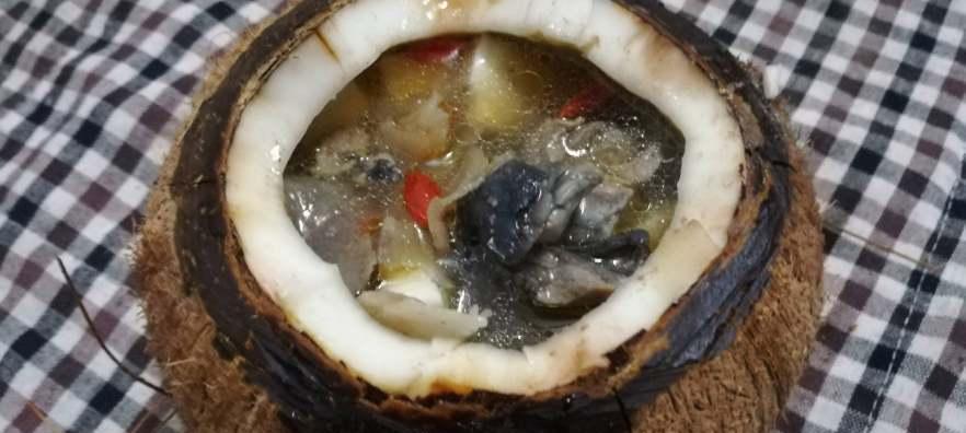 椰子煲乌鷄的美食之旅（健康营养的家常菜肴，新颖独特的椰香口感）-第1张图片-美味行家