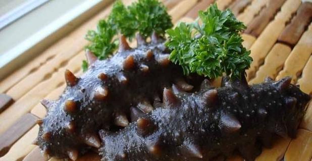 如何用热水瓶水发海参？（简单易行，健康美味的家庭美食制作方法）-第1张图片-美味行家