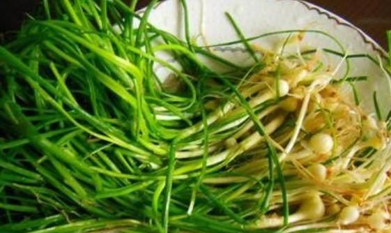 家常菜谱（营养美味的汤苦麻菜，让你健康又满足）-第3张图片-美味行家