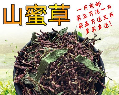 以鲜凉草青凉草的做法，为您带来清爽的夏日美食！（自家制作清爽凉草，你想必须要试试！）-第2张图片-美味行家