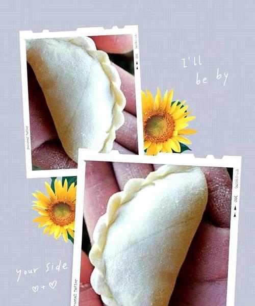 四种饺子包法，一次学会！（四种不同包法，让你轻松打造完美饺子宴！）-第3张图片-美味行家