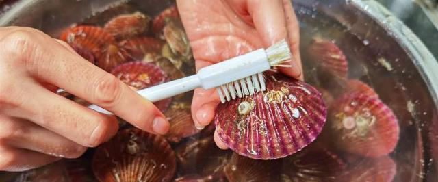香菇酱蒸扇贝的制作方法（做出口感鲜美、营养丰富的蒸扇贝）-第2张图片-美味行家