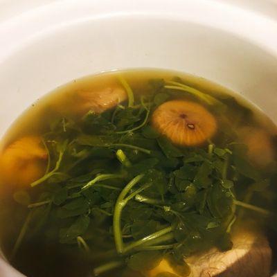 健康美味，以西洋菜陈肾扇骨汤（中医食疗，滋补养生之道）-第3张图片-美味行家