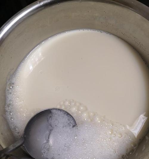 以益智豆浆为主打的健康饮品制作方法（让你在家也能享受到健康饮品的滋味）-第1张图片-美味行家