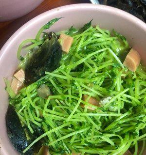健康美味，绿色营养——汤豌豆苗的多种做法（探索汤豌豆苗的美食世界，为味蕾带来新的惊喜！）-第2张图片-美味行家