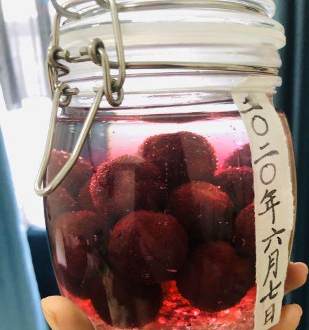 手制杨梅果酒，告别白酒烈性（以杨梅果酒为主打，制作无白酒口感的美酒）-第3张图片-美味行家