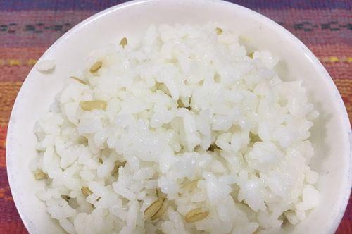 燕麦大米饭，健康营养的家常好菜（打造一份简单易做的健康餐食）-第3张图片-美味行家