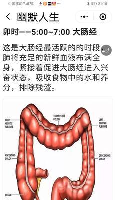 以四物膏为主材的养生做法（四物膏的制作和用途）-第3张图片-美味行家