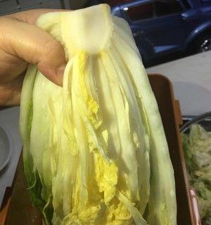 压白菜，一种特别的腌制方法（让白菜更加鲜美营养的做法）-第1张图片-美味行家