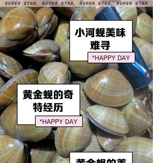 以水煮大蚬子，品尝鲜美海味（做法简单易学，汁香味美，让你一次尝尽海鲜美味）-第2张图片-美味行家