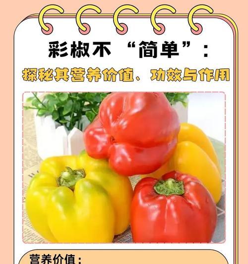 以彩椒为主的营养菜做法（让彩椒成为你餐桌上的营养宝贝）-第3张图片-美味行家