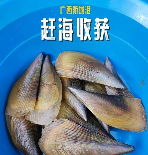 美味蒜香带子螺的制作方法（教你一步步做出香气扑鼻、口感丰富的蒜香带子螺）-第3张图片-美味行家
