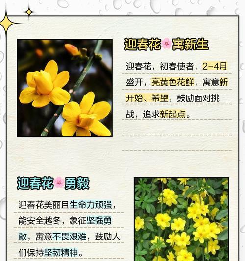 以肉圆喜迎春，年味更浓！（传承传统美味，让味蕾尽享新春）-第3张图片-美味行家