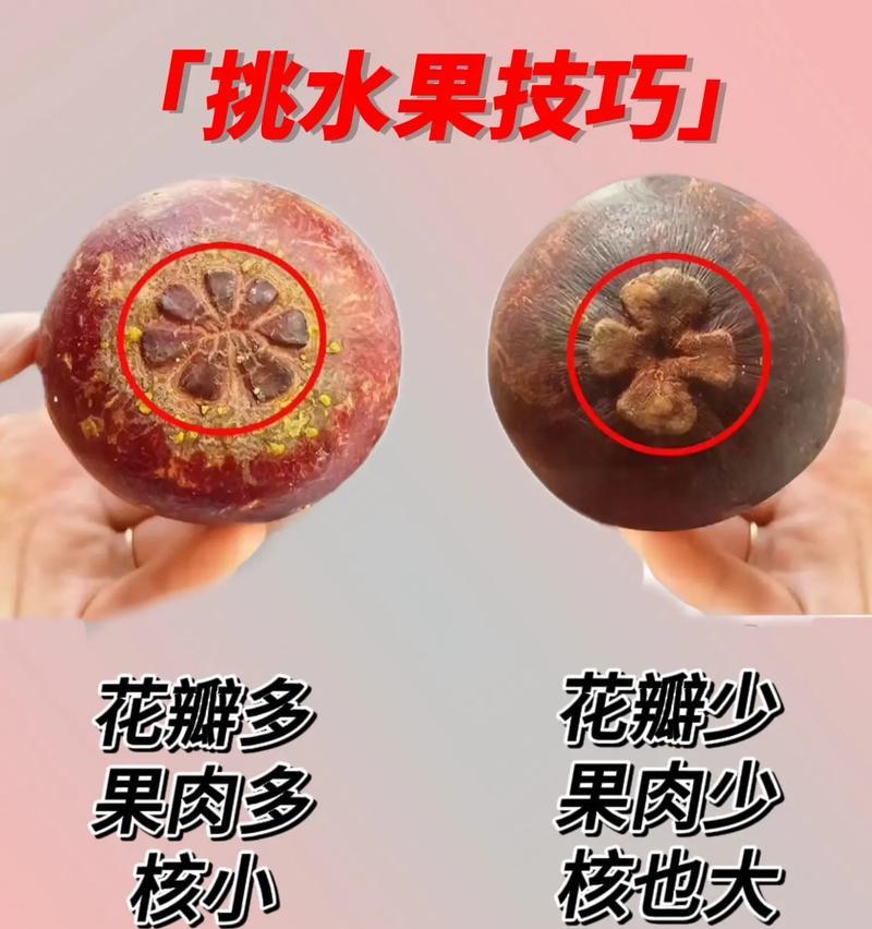 如何选择新鲜美味的山竹？（掌握山竹挑选技巧，享受原汁原味的美味水果）-第1张图片-美味行家
