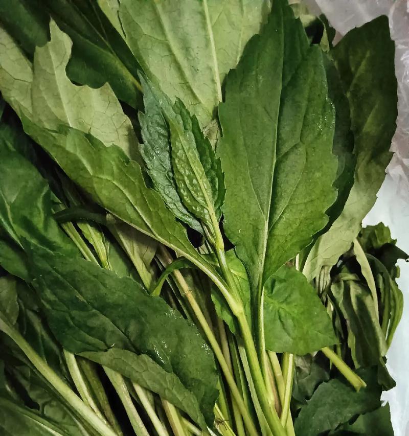 野菜猪肉盒子饼的制作方法（健康营养，美味可口的自制盒子饼）-第1张图片-美味行家