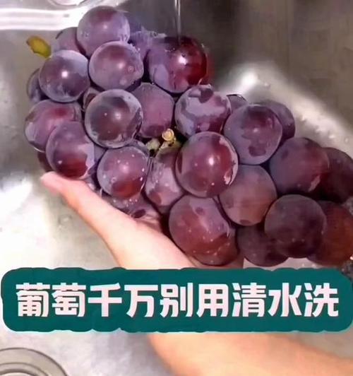 以洗葡萄的做法让生活更美好（掌握这些技巧，让葡萄更干净更美味）-第3张图片-美味行家