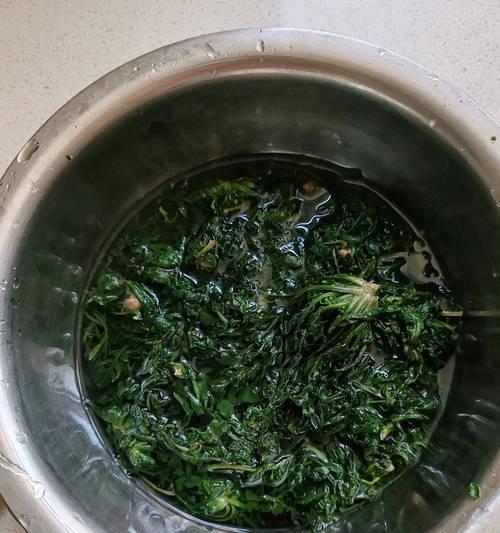山菜猪肉水饺的美味做法（健康营养又好吃的山林美食）-第1张图片-美味行家