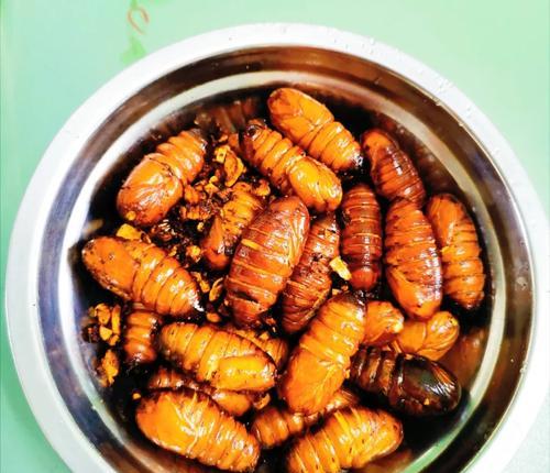 炸柞蚕蛹，美味佳肴（以新鲜柞蚕蛹为原料，炸出美味佳肴，口感鲜香，别有风味。）-第1张图片-美味行家