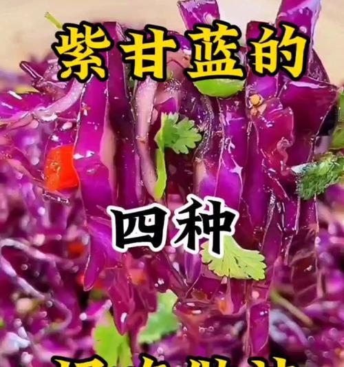 轻松做出美味紫甘蓝拌萝卜丝（用新鲜蔬菜做出营养美味，健康美食）-第3张图片-美味行家