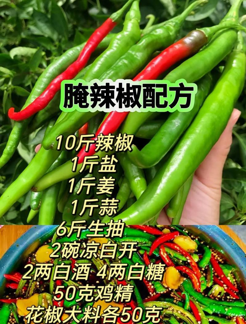 自制腌辣椒片（辛辣美味，健康无添加）-第1张图片-美味行家