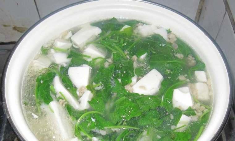 打造口感绝佳的仙人掌瘦肉豆腐羹（清爽健康的美味佳肴，以仙人掌为主角）-第2张图片-美味行家
